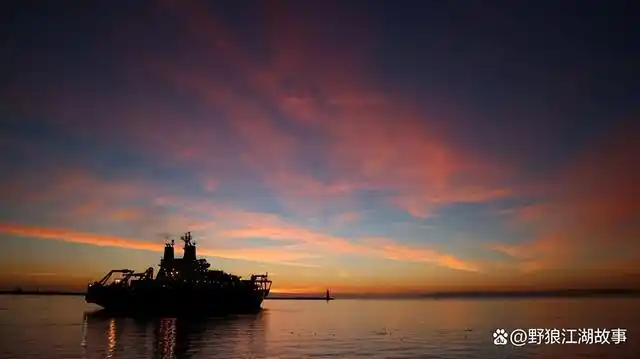 石家庄金伯帆老板吴迪简历石家庄吴迪手下