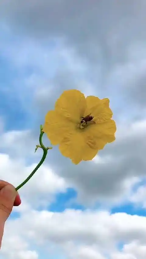 ▽ 做喜欢的事,见喜欢的人,努力使每一天都开心而有意义