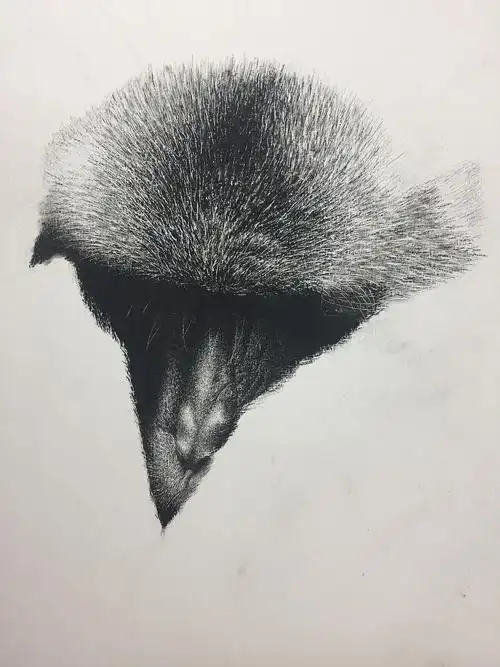 【jf手绘】炭笔画作品-1