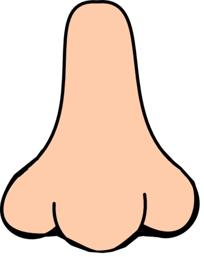 nose cartoon clipart