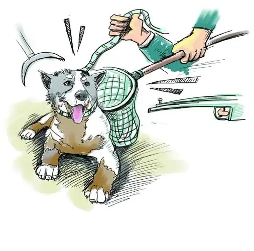 梁津铭/漫画浙江在线04月21日讯昨天,浦江多位读者致电《浙中城事》