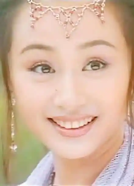 凤在江湖这剧都有什么好的演员看看你就知道了曹颖赵鸿飞戴娇倩青蜓云