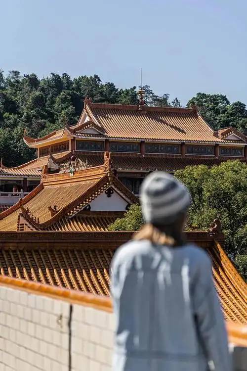 寺庙|东山寺|弘法寺|观音阁|龙兴寺|深圳市_网易订阅