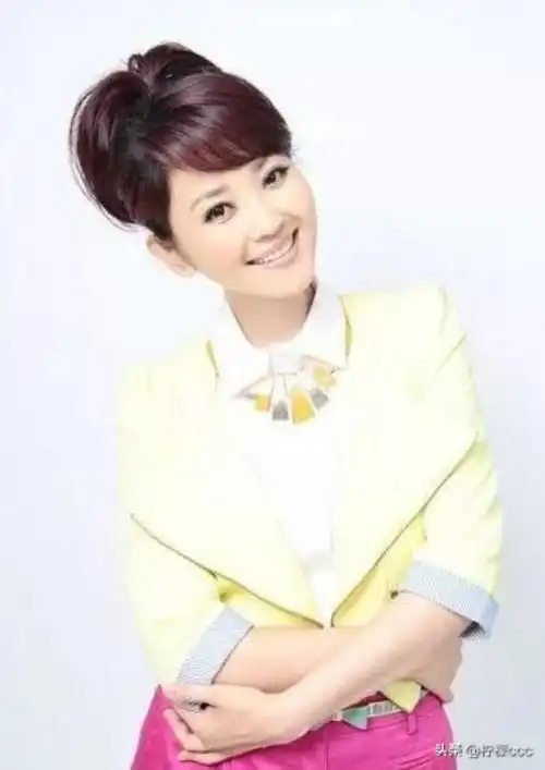 中央电视台女主持人央视最美10大女主持人