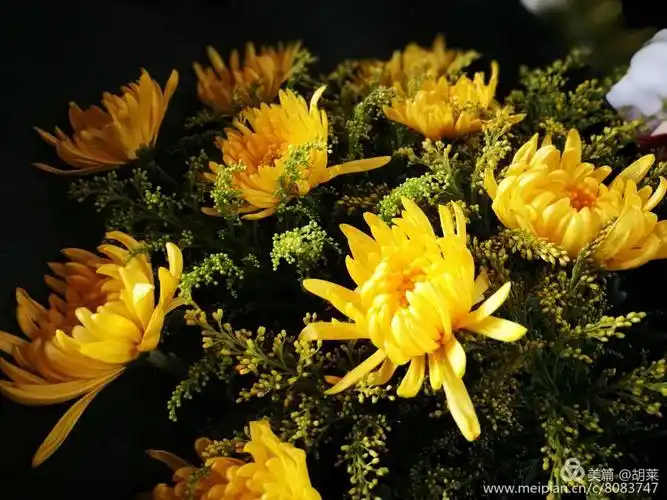 朵朵鲜花寄托哀思