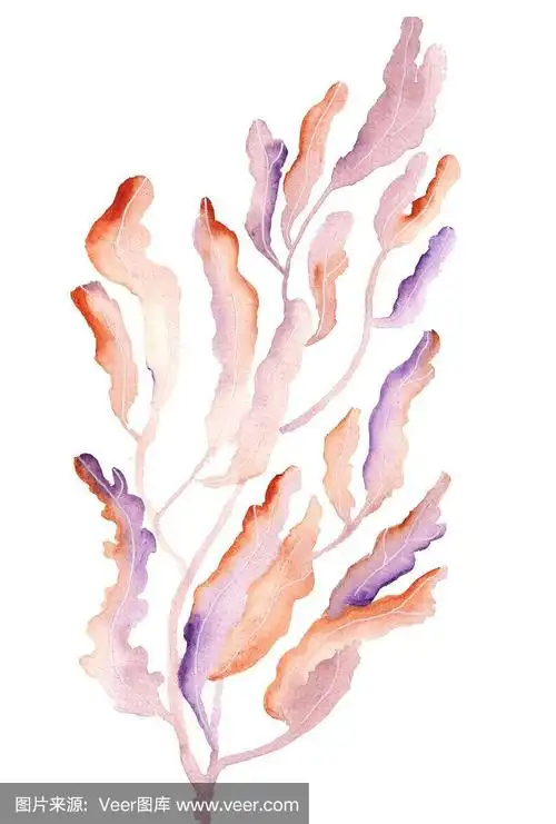 水彩珊瑚.海底世界