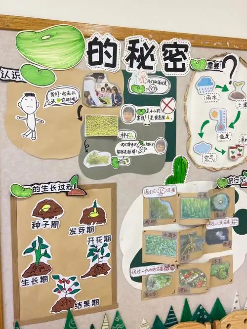 主题墙环创种子主题