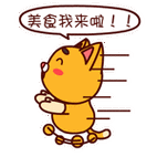 可爱的壮壮猫吃货专题图片表情包下载 我最喜欢糖果了