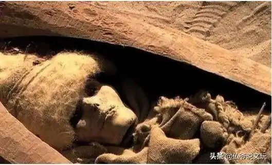 (中国诡异未解之谜在线观看) - 冷思维