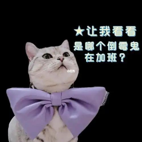 有事直说不要问我在不在了