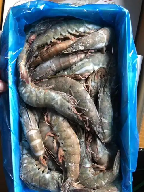 批发供应泰国生虾泰大虾青虾1. 5kg每盒