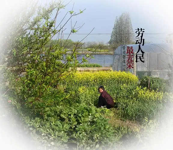 【劳动人民最光荣摄影图片】纪实摄影_太平洋电脑网摄影部落