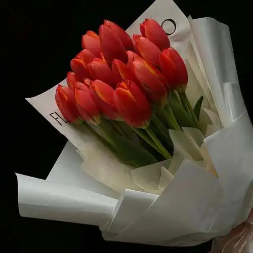 背景图 | 值得收藏的朋友圈背景图