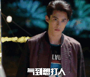 流星花园王鹤棣生气表情包gif,气到不理你