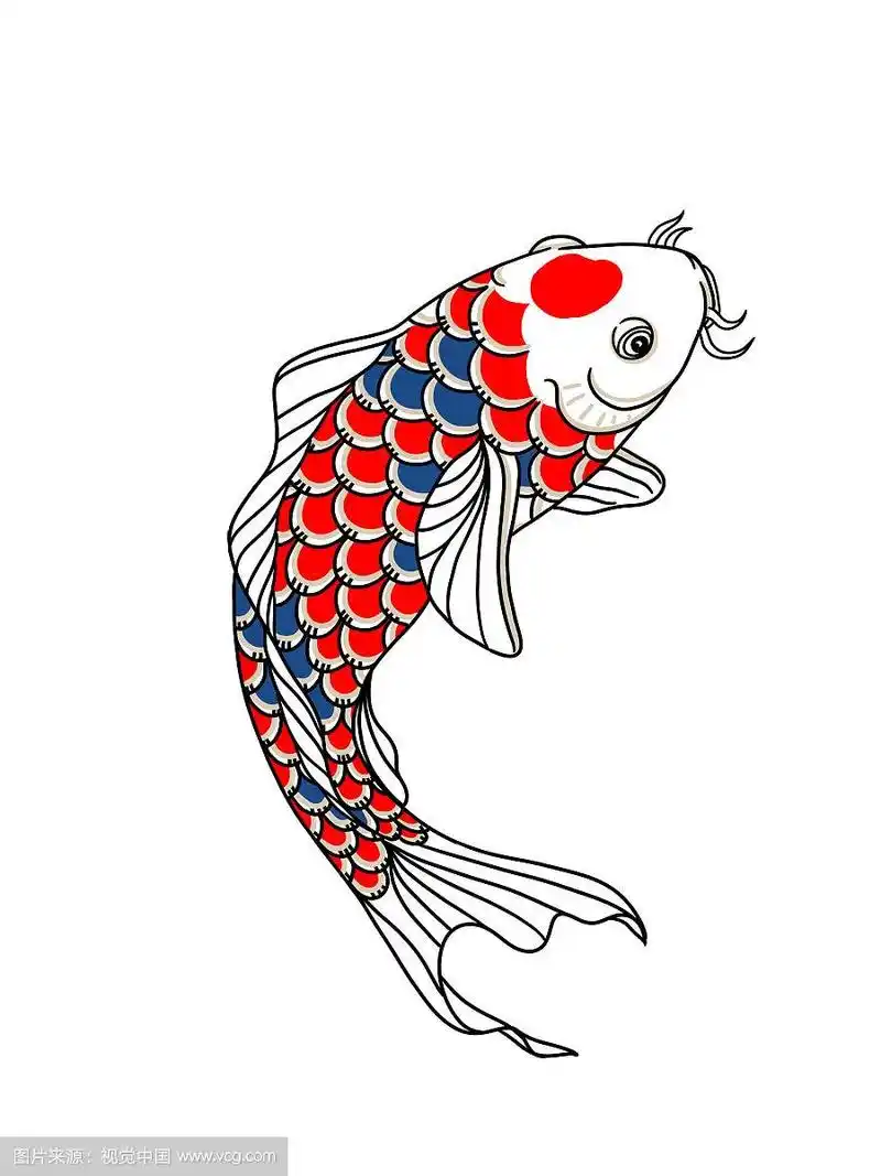 锦鲤插图线条手绘