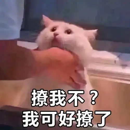 聊天撩人表情包(撩人的表情包一系列的)