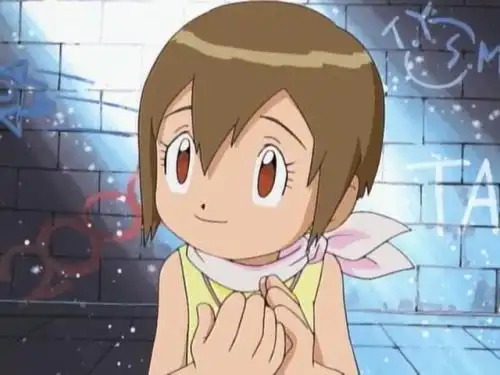 八神嘉儿喜欢八神太一