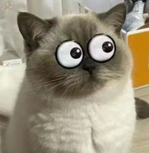 憨憨的表情包:你看我干不干你!