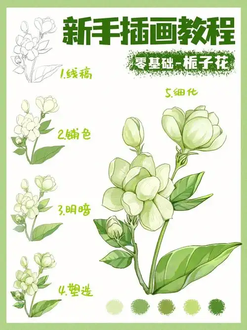 新手插画教程教你画栀子花