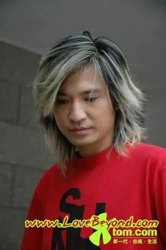 叶世荣的那个发型叫什么?