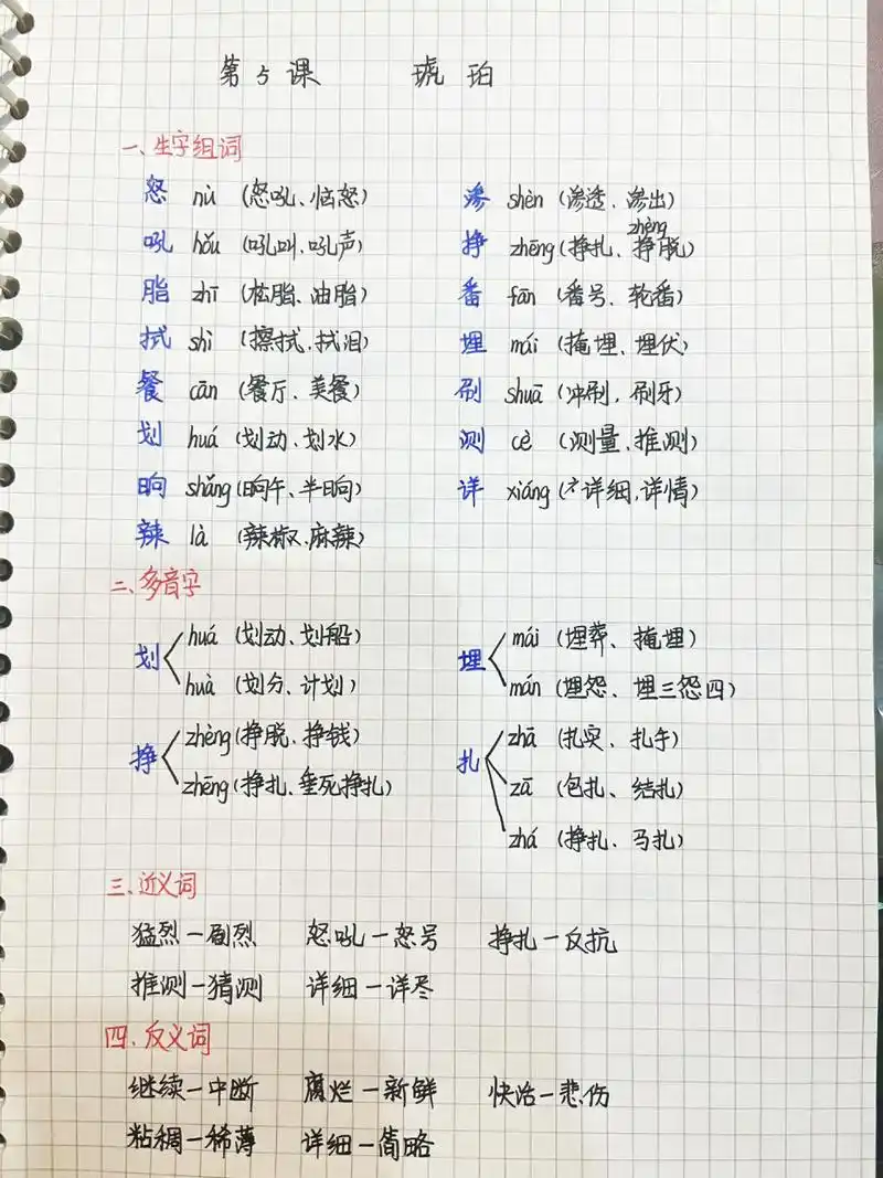 四下925课《琥珀》笔记-2 99996990每日1-4更,全部是小学