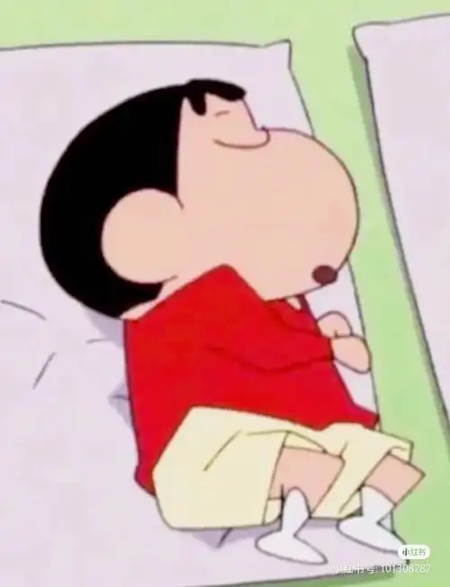 是蜡笔小新的侧脸没错啦