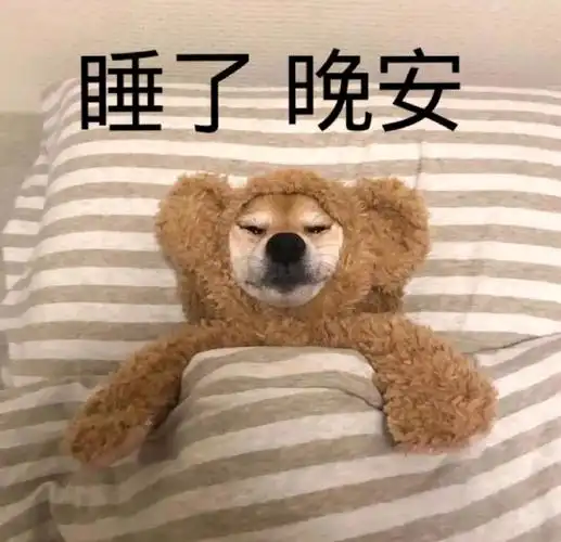 萌宠gif汪星人gif睡了gif晚安gif搞怪gif逗gif