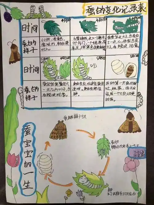 守护"天使" 感受生命 破茧成蝶 i 崛起少年"守护天使"行动成果展示_蚕