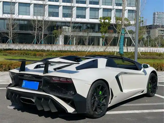 小伙花6千租兰博大牛,一箱油8百元,仅开270公里,直呼喝油机器