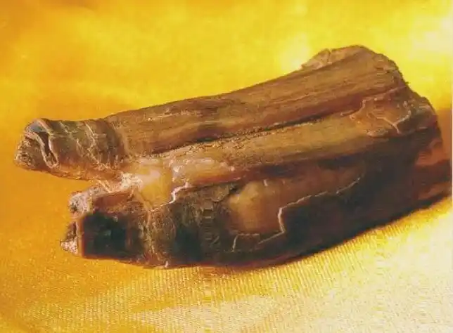 博物馆舍利子真实图片 看舍利子什么颜色的好