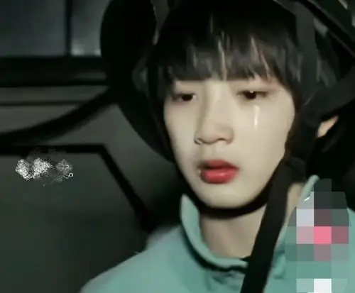 刘耀文我的文总裁