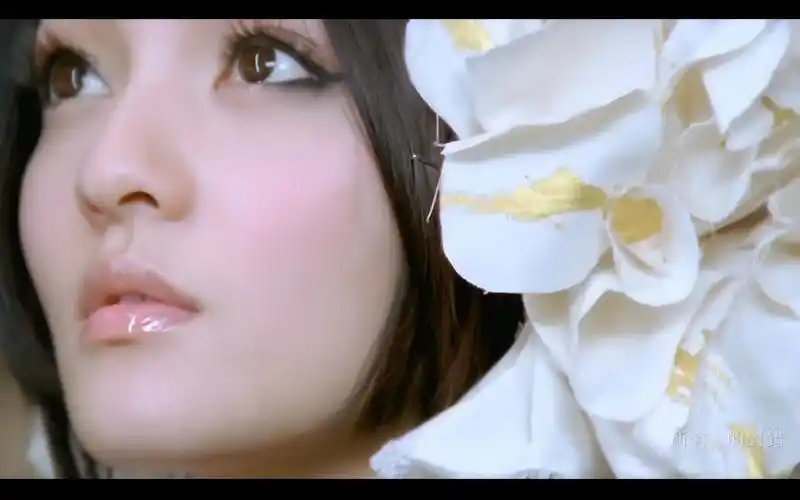 4k修复暗黑风神曲张韶涵不痛mv2160p修复版