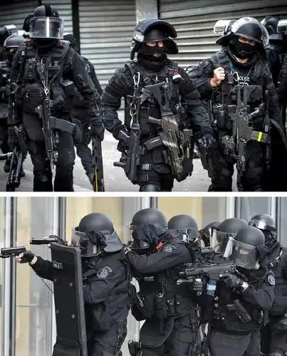 法国特警"黑豹 / raid"反恐突击队- 巴黎:蛰伏的法兰西黑豹