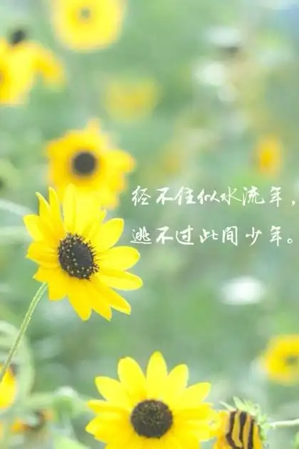 小清新文字背景壁纸 -手机壁纸-唯美图片大全