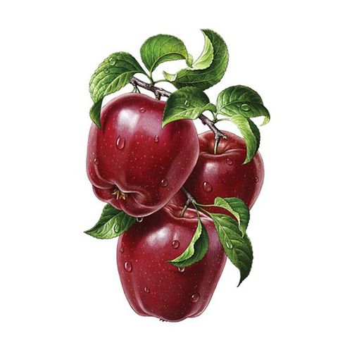 苹果水果图案贴纸厨房墙上装饰墙壁幼儿园教室创意防水自粘墙贴画