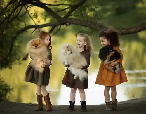 他拍出了世上最暖心的瞬间看完整个人都被治愈了