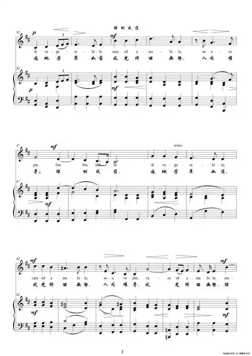 绿树成荫ad正谱