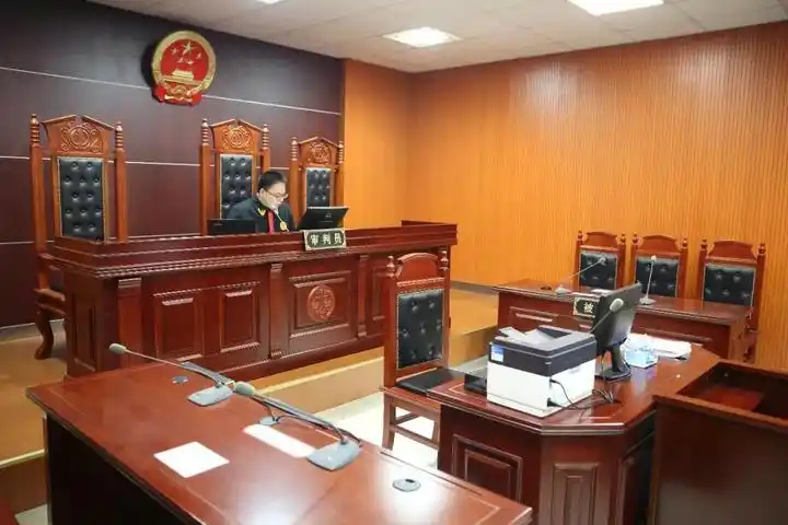 原告被告都不在孤独法官对着电脑视频聊天怎么回事