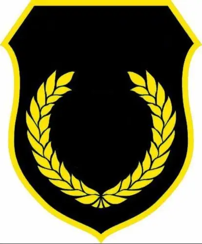 求大神帮忙把臂章上的橄榄枝去掉