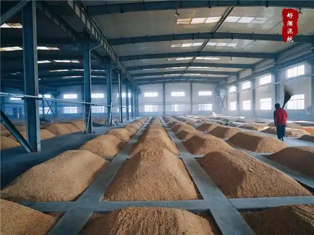 走进邢台百年酒厂,带你揭秘五粮酿制酒泥坑的奥秘