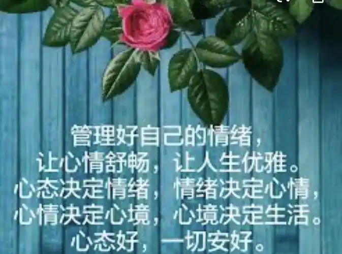 好心态决定好心情