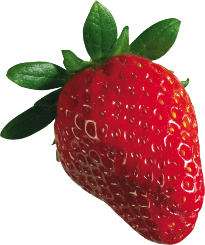 水果 草莓 png 透明图片 免抠图设计元素素材免费下载(图片编号