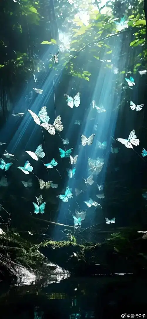 星系玫瑰蝴蝶唯美境意壁纸