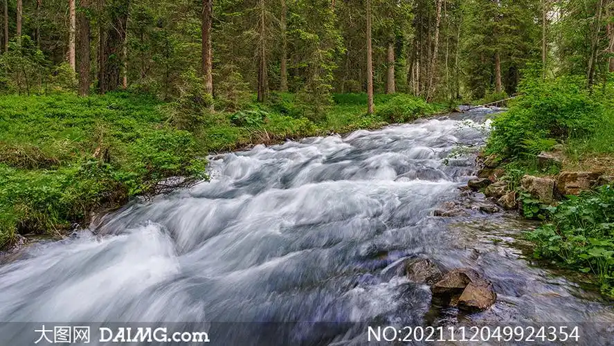 树林中激流而下的溪水摄影高清图片_大图网图片素材