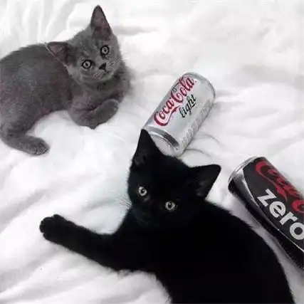 潮流好看的朋友圈背景图 你是我遥遥万里最牵挂的猪-微信图片