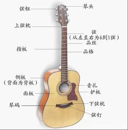 吉他初学者需要了解的小知识,什么是合板,面单和全单吉他