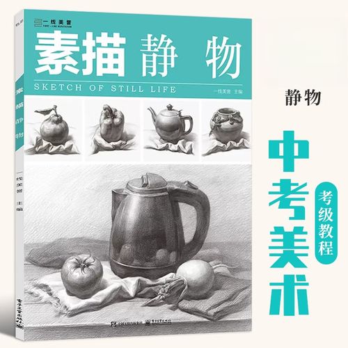 绘画书籍高中初学照片对画高考联考素描基础教程 静物素描书入门教材