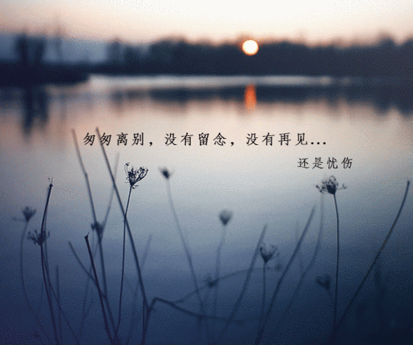 【还是忧伤】匆匆离别,没有留念,没有再见