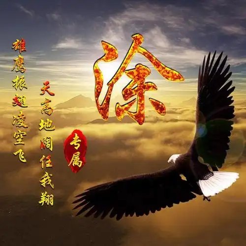 54张老鹰微信头像,写有百家姓氏,有喜欢老鹰的吗?