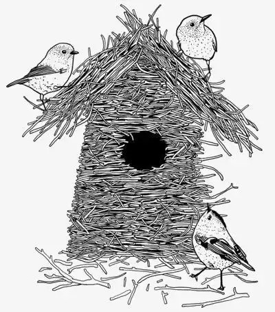 树鸟巢简笔画